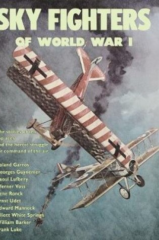 Cover of Sky Fighters of World War I