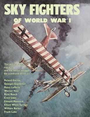 Book cover for Sky Fighters of World War I