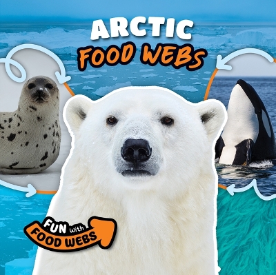 Book cover for Arctic Food Webs