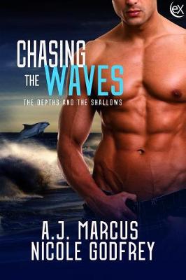 Cover of Chasing the Waves