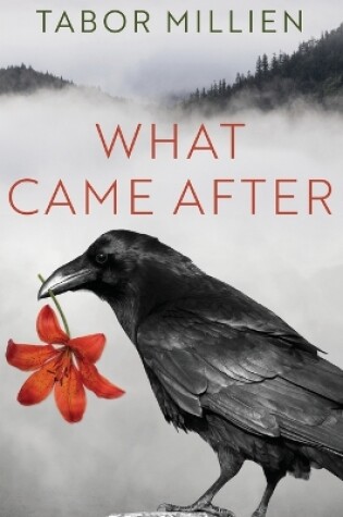 Cover of What Came After