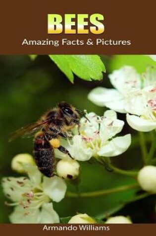 Cover of Bees