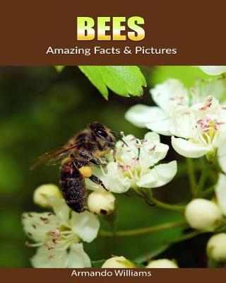 Book cover for Bees