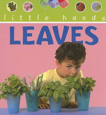 Book cover for Leaves