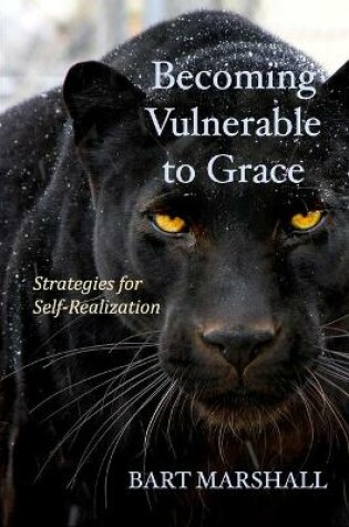 Cover of Becoming Vulnerable to Grace