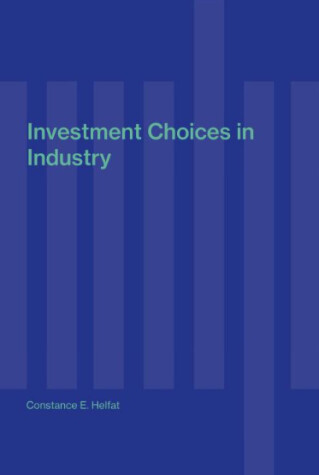 Book cover for Investment Choices in Industry