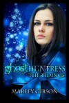 Book cover for Ghost Huntress