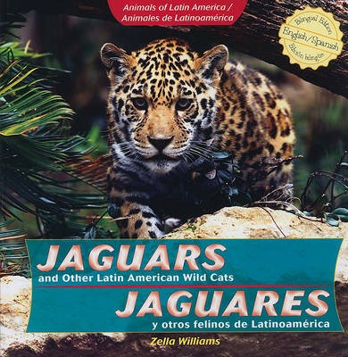 Book cover for Jaguars and Other Latin American Wild Cats / Jaguares Y Otros Felinos de Latinoamérica