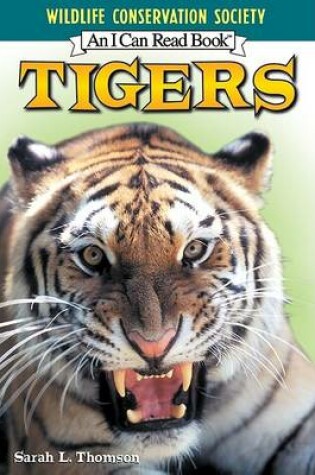 Cover of Icr Tigers