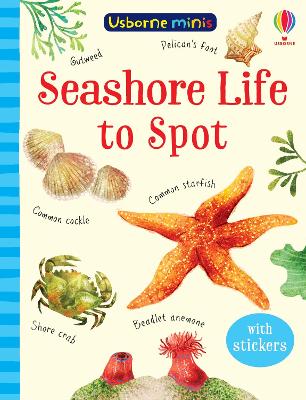 Book cover for Seashore Life to Spot