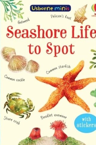 Cover of Seashore Life to Spot