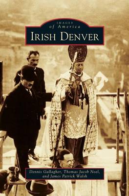 Book cover for Irish Denver