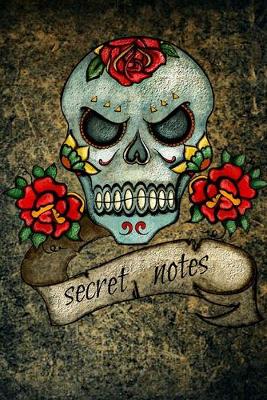 Book cover for Secret Notes