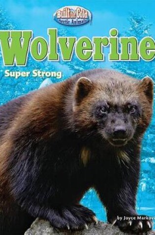 Cover of Wolverine