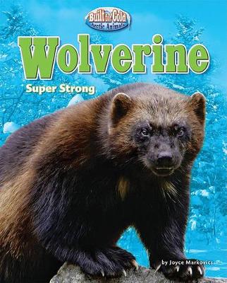 Book cover for Wolverine