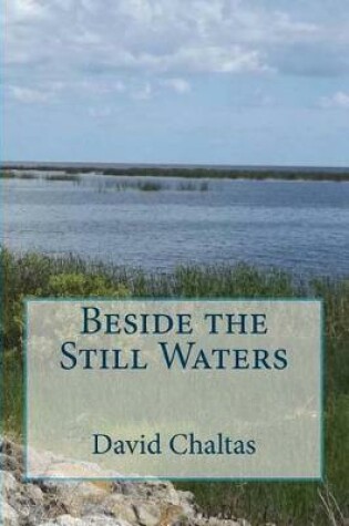 Cover of Beside the Still Waters