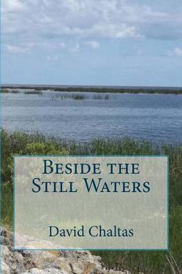 Book cover for Beside the Still Waters