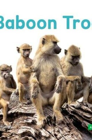 Cover of Baboon Troop