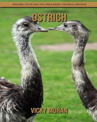 Book cover for Ostrich