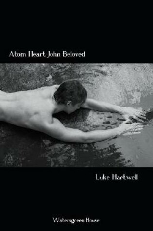 Cover of Atom Heart John Beloved