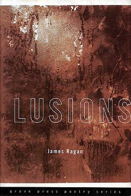 Book cover for Lusions