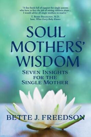 Cover of Soul Mothers' Wisdom