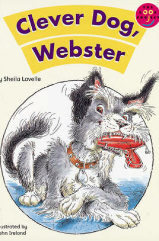 Cover of Clever Dog, Webster New Readers Fiction 2