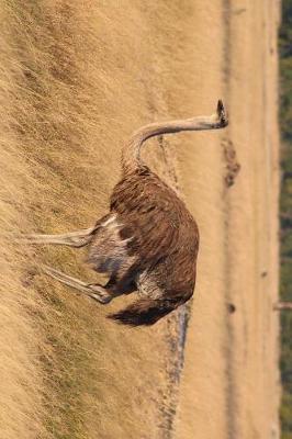 Book cover for Ostrich in Zimbabwe, Africa Journal