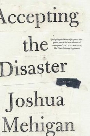 Cover of Accepting the Disaster