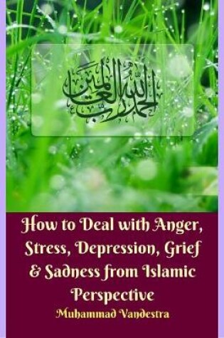 Cover of How to Deal With Anger, Stress, Depression, Grief & Sadness from Islamic Perspective