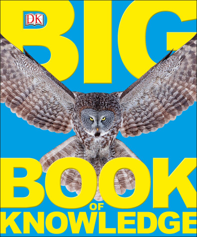 Book cover for Big Book of Knowledge
