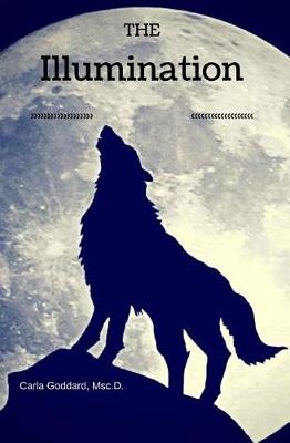 Book cover for The Illumination