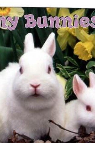 Cover of Funny Bunnies