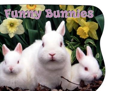 Book cover for Funny Bunnies