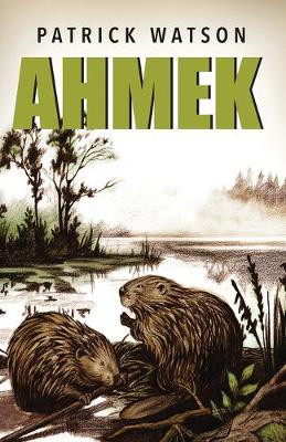 Book cover for Ahmek