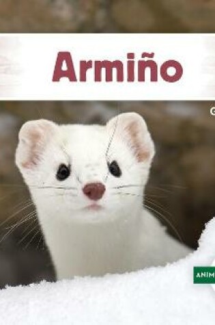 Cover of Armino (Ermine)