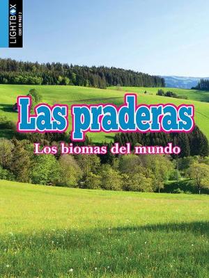 Book cover for Las Praderas