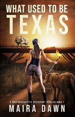 Cover of What Used to be Texas