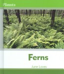 Book cover for Ferns