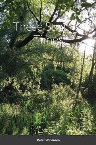 Cover of These Strange Times