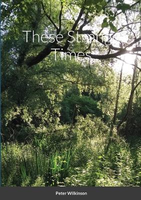 Book cover for These Strange Times