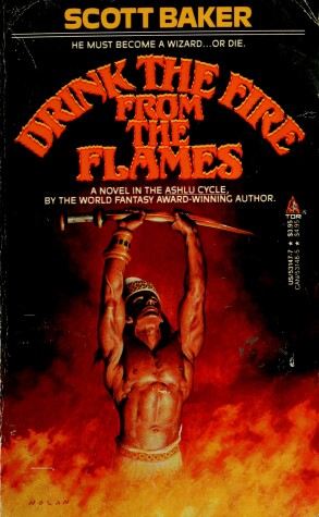 Book cover for Drink the Fire from the Flames