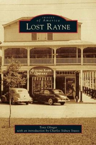 Cover of Lost Rayne