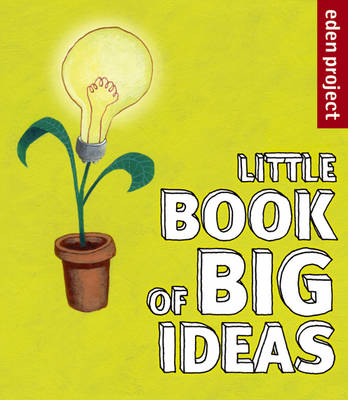 Cover of The Little Book of Big Ideas