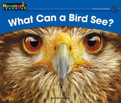 Book cover for What Can a Bird See? Leveled Text