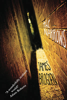 Book cover for The Narrows