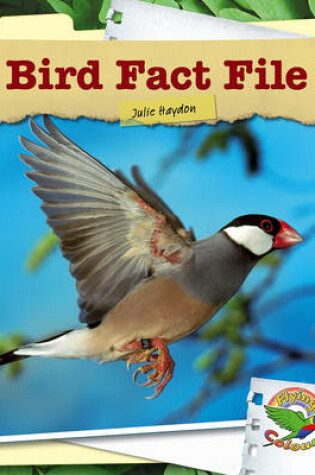 Cover of Bird Fact File