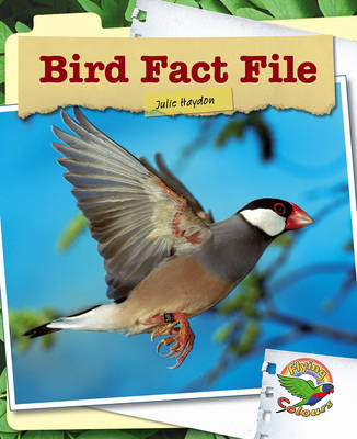 Book cover for Bird Fact File