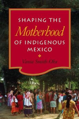 Cover of Shaping the Motherhood of Indigenous Mexico