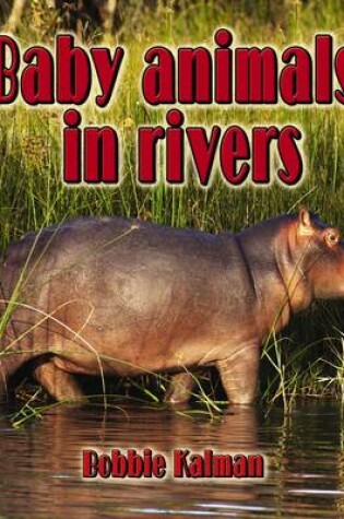 Cover of Baby Animals in Rivers